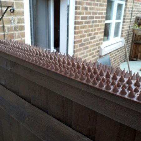 Brown plastic cat spikes shown attached to fence top.