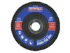 Abrasive Jumbo Flap Disc 100mm Coarse                                           