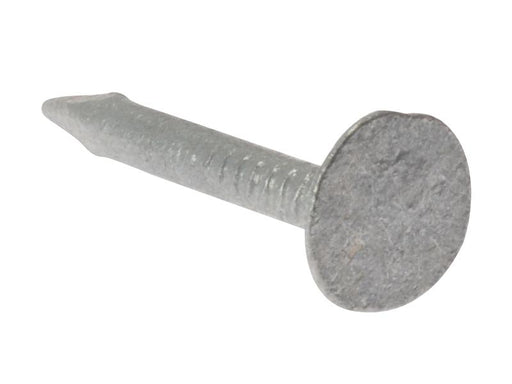 Clout Nail Extra Large Head Galvanised 30mm (2.5kg Bag)                         