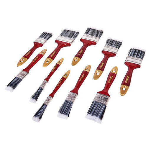 10pc Paint Brush Set