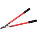 Telescopic By-Pass Lopper