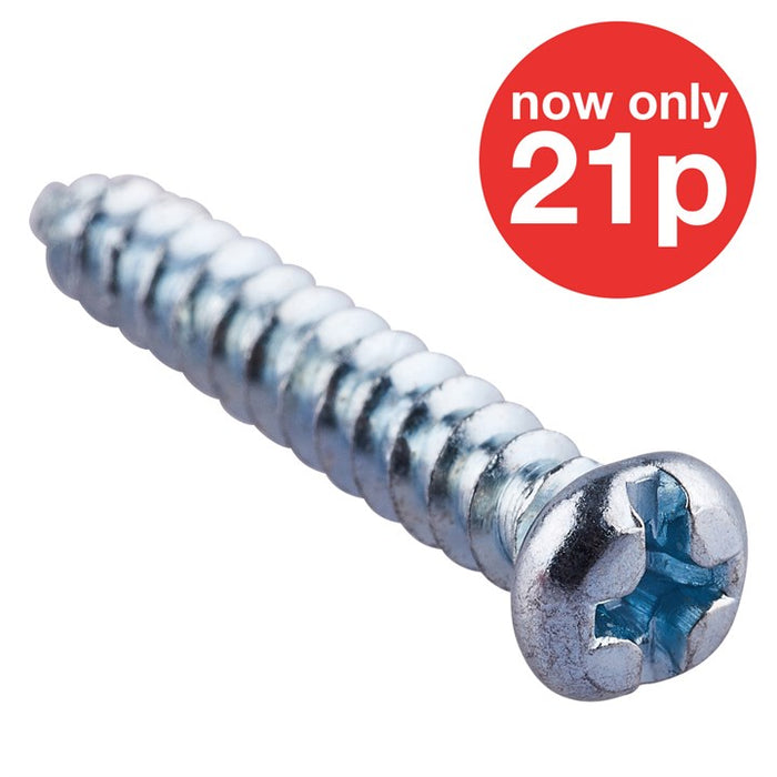 4mm X 25mm   Self Tapping Screw (28pc)