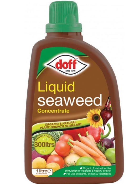 Doff 1L Liquid Seaweed Organic Plant Fertiliser